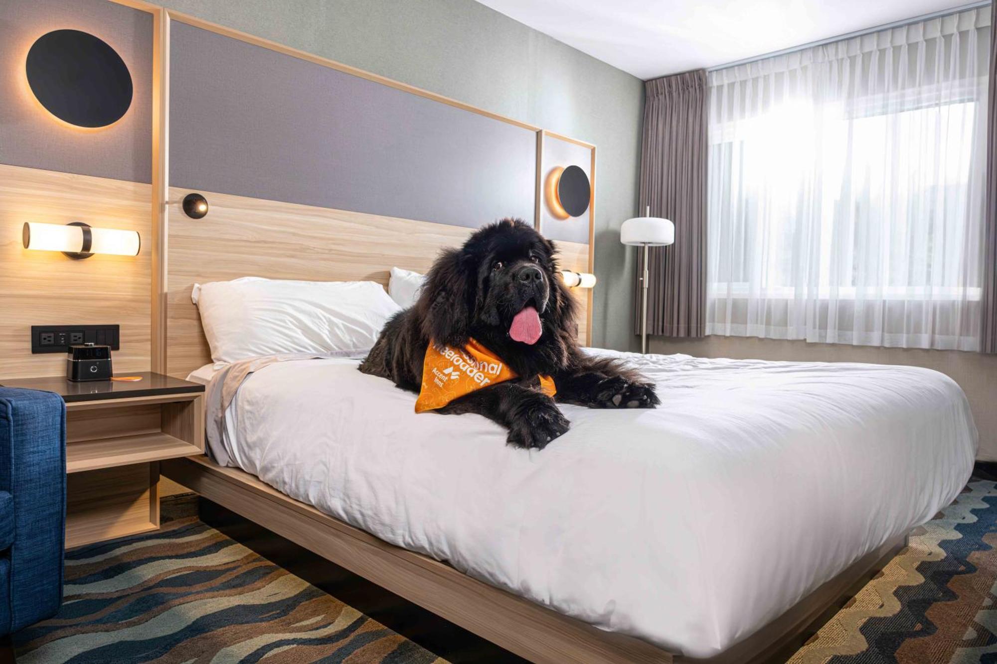 Accent Inns Vancouver Airport Richmond Esterno foto