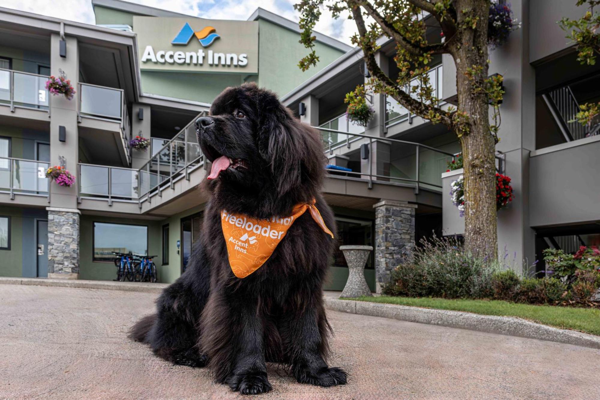 Accent Inns Vancouver Airport Richmond Esterno foto